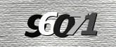 CaptchaImage