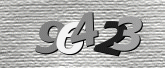 CaptchaImage