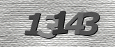 CaptchaImage