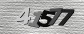 CaptchaImage