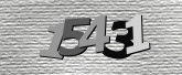 CaptchaImage