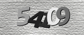 CaptchaImage