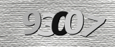 CaptchaImage