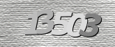 CaptchaImage