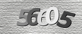 CaptchaImage