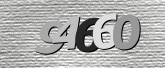 CaptchaImage