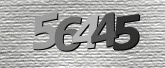CaptchaImage