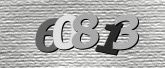 CaptchaImage