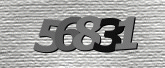 CaptchaImage