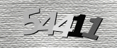 CaptchaImage