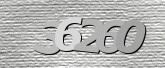 CaptchaImage