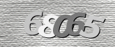 CaptchaImage