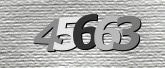 CaptchaImage