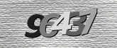 CaptchaImage