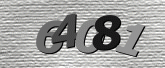 CaptchaImage