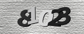 CaptchaImage