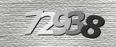 CaptchaImage
