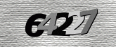 CaptchaImage