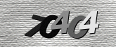 CaptchaImage