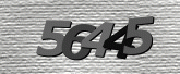 CaptchaImage