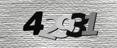 CaptchaImage