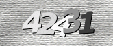 CaptchaImage