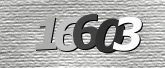 CaptchaImage