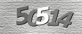 CaptchaImage