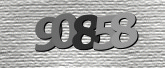 CaptchaImage